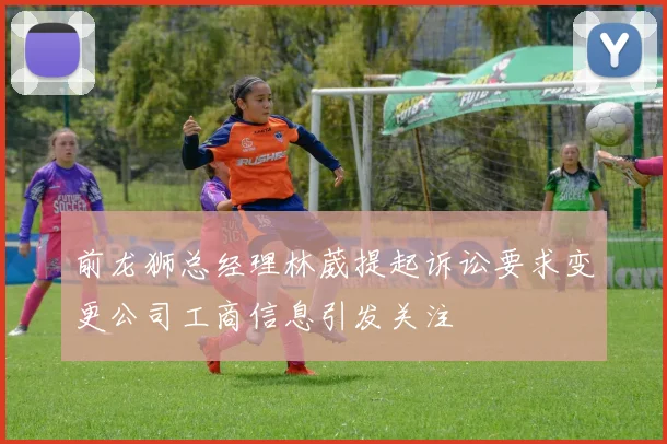 前龙狮总经理林葳提起诉讼要求变更公司工商信息引发关注