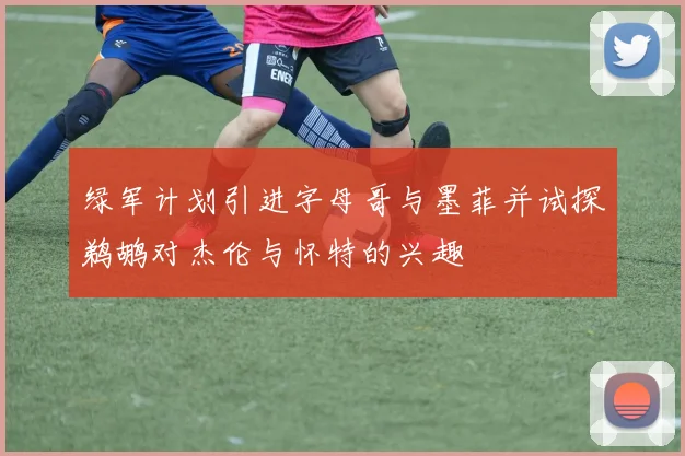 绿军计划引进字母哥与墨菲并试探鹈鹕对杰伦与怀特的兴趣