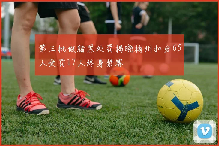 第三批假赌黑处罚揭晓梅州扣分65人受罚17人终身禁赛